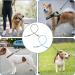 2 Pack Chew Proof Dog Leash Extension Metal Cable Lead Non-Tangle Connect Leash for Any Leash Heavy Duty Dog Leash Extender for Collar & Harness (Black+Blue) - Buy Online on SooperMarket.com