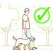 Dog & Field Figure 8 Anti-Pull Lead/Halter - Olive Green - Buy Online on SooperMarket.com