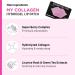 SooAE My Collagen Hydrogel Lip Patch - 12 Count Moisturizing Anti-Aging Lip Mask for Youthful Lips - Buy Online on SooperMarket.com