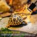 Caldarax 2 Pack Reptile Heating Bulb E27 Dimmable UVA UVB Bulb Tortoise 25W Turtle Basking Bulb for Reptiles and Amphibians Heat Lamp Bulb for Tortoise Bearded Dragon Lizard Snake - Buy Online on SooperMarket.com