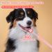 2 Pieces Soft Silicone 360-Degree Dog Toothbrush Set | Dental Care for Pets & Cats | Oral Hygiene Deep Cleaning - Buy Online on SooperMarket.com