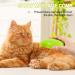 Steamy Cat Brush - 3 in 1 Cat Steamer Brush Cat Spray Massage Comb Multifunctional Dog Steamer Brush Cat Grooming Brush Pet Hair Removal Comb for Cat (Green) - Buy Online on SooperMarket.com