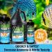 Microbe-Lift Nite-Out II Aquarium Cleaner 16oz | Rapid Ammonia & Nitrite Reduction | Freshwater & Saltwater Tank Treatment - Buy Online on SooperMarket.com