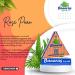 Sweet paan (Rose Paan)