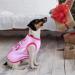 6 Pack Dog Shirt Puppy Clothes for Chihuahua - Breathable Dog Outfit - Summer Cat and Dog Clothes - Dachshund Puppy Accessories - Printed Dog Shirts - Medium - Buy Online on SooperMarket.com