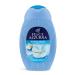 Felce Azzurra White Musk - Delicate Essence Shower Gel - Fresh And Clean Fragrance With Energetic And Citrus Fruits - Smoothness Of Rose Blends With Carnation To Get A Smooth Effect - 8.4 Oz Musk 8.4 Ounce