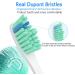 Senyum Replacement Heads for Philips Sonicare E-Series Toothbrush - 4 Pack - Buy Online on SooperMarket.com