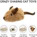 2 Pack Interactive Cat Toys - Feather Squeaky Bird & Mouse Kitten Plush Toys - Motion Activated Melody Chaser - Ideal for Indoor Cats - Three Dogs & A Cat - Buy Online on SooperMarket.com