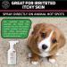 C&G Pets | No Chew Bitter Apple Spray for Dogs | Stop Dog Chewing Deterrent | Alcohol Free Anti Chew Repellent Formula for Puppies Cats Horses and Rodent Pets - Buy Online on SooperMarket.com
