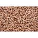 Buy Organic Quail & Pinto Beans - Gourmet Quality Dried Whole Beans (400g) | Natural Protein Boost for Healthy Living - Buy Online on SooperMarket.com