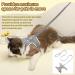 Adjustable Rabbit Dishes & Leash for Dwarf Rabbits | Soft Pet Bowls for Rabbits Cats & Small Dogs - International Shipping - Buy Online on SooperMarket.com