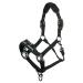 LeMieux Pro-Safe Headcollar for Horses & Ponies in Black - Adjustable for Perfect Control in Hand Use Only Full Black