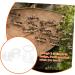 COLLBATH 2pcs Ant Water Feeder Ant Nest Water Feeding Area Ant Water Feeding Bowl Mini Animals Ants Acrylic - Buy Online on SooperMarket.com