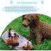 IFOYO Squeak Dog Toy - Durable Squirrel Hide and Seek Puzzle Plush Toy for Small/Medium Dogs - Buy Online on SooperMarket.com