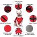 Luowan Waterproof Dog Coat for French Bulldogs | Warm Vest & Dog Jacket for Small Dogs (S Green) - Multi-Sizes Available - Buy Online on SooperMarket.com