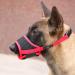 Adjustable Red Dog Muzzle - Safe & Breathable Mesh Velcro Fastener XL Size for Barking & Chewing Control - Buy Online on SooperMarket.com