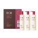 RGIII Hair Regeneration Clinic Shampoo with Purified Red Ginseng Saponin & 6 Naturally Derived Ingredients for Hair Loss/Regrowth/Strengthening/for both Men & Woman 3pc Set (17.58oz /ea x 3)