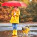 FUAMEY Dog Rain Coat | Lightweight Waterproof Rain Jacket with Transparent Brim | Reflective Dog Rain Poncho | Leash Hole | Yellow Slicker Raincoat for Small Medium Dogs Cats | Large Breed (14-23lb) - Buy Online on SooperMarket.com