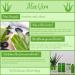 SBC Skincare Aloe Vera Hand Wash Cooling pH Balanced Wash with Aloe Vera and Cucumber Vegan Friendly (300ml) - Buy Online on SooperMarket.com
