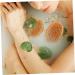 FRCOLOR 2pcs Handheld Body Brush & Massage Scrubber - Skin Care & Household Bath Accessory - Buy Online on SooperMarket.com