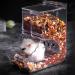 Hamsters Feeder Small Animals Automatic Dispenser Gravity Auto Dispensers Pet Pellets Food Storage Bowl - Dwarf Hamster Gerbils Mice Hedgehog Guinea Pig and Other Small Animal Ideal Feeding Station - Buy Online on SooperMarket.com