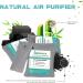 Nature Fresh Activated Charcoal Air Purifier Bags - Odor Eliminator Moisture Absorber & Natural Car Freshener (4 Pack 200g Each) - Perfect for Home Pets Shoes & Closets - Buy Online on SooperMarket.com