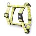 Max & Molly H-Harness - Kiwi XS XS Kiwi