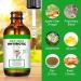 Natural Antibiotics for Cats | 2 Fl Oz Pet Supplements | Multivitamin & Allergy Itch Relief - Chicken Flavor - Buy Online on SooperMarket.com