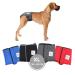 Sailing trousers for bitches 2.0 - dog diapers made of high -quality perforated neoprene for an optimal air exchange - dog diapers for male without the annoying threading of the rod (XL -gray) XL gray