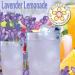 Lavender Lemonade Drink Mix - 4 LB Bag Lavender Lemonade 4 Pound (Pack of 1) - Buy Online on SooperMarket.com