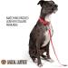 Logical Leather 6ft Heavy Duty Full Grain Leather Dog Leash - Pink - Buy Online on SooperMarket.com