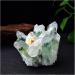 Natural Crystal Cluster Ore Specimens Yellow Green Quartz Reiki Stone Raw CrystalsHome Decor Collect Gifts Ornaments 1PCS Decoration Primary Stones and Minerals (Color : A Yellow Size : 500-550g) 500-550g A Yellow - Buy Online on SooperMarket.com