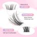Glowing Win DIY Cluster Eyelash Extensions Set - 144 PCs Natural Individual Lashes 8-16mm with Bond Sea and Tweezers - Buy Online on SooperMarket.com