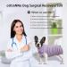 oUUoNNo Recovery Suits for Dogs Cats Surgical Recovery Suit for Female Male Abdominal Wounds Spay or Skin Diseases Cone E-Collars Alternatives Anti-Licking Pet Vest Post Surgery (XXXL Purple stripe) XXXL Purple stripe - Buy Online on SooperMarket.com