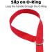 Downtown Pet Supply 6ft Dog Kennel Slip Lead Leash - Veterinarian Approved for Grooming, Daycare & Rescue - Bulk Pack of 6 Thick Leashes for Dogs - Buy Online on SooperMarket.com