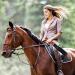 Catcan Riding Crop for Horses  Leather Paddle with Anti-Slip Wooden Handle  19'' Equestrianism Crops - Buy Online on SooperMarket.com