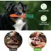 Jotol Dog Toy Set - 20PCs 100% Natural Cotton Interactive Toys for Dental Care | Best Pet Rope Toys for Small & Medium Dogs - Buy Online on SooperMarket.com