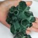 Natural Crystal Rough Natural Crystals and Stones 300-400g Natural Green Quartz Crystal Cluster Crystals raw Gemstone Specimen for Home&Office Decoration fengshui for Decoration QINTINYIN - Buy Online on SooperMarket.com