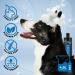 GROOM PROFESSIONAL Coconut Moisturising Dog Shampoo - Soothing & Nourishing 4L - Buy Online on SooperMarket.com