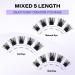 D Curl 0.07mm Cluster Lash Extensions 8-16mm Mix - Soft, Wispy & Wide Stem | XHFD-FD18-0.07-D - Buy Online on SooperMarket.com