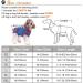 MightyDuty Dog Body After Op Cotton Wound Protective Suits - Breathable & Comfortable for Dogs | International Shipping - Buy Online on SooperMarket.com