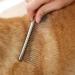 Pet Steel Comb for Dogs and Cats - Rounded Teeth, Static-Free, Corrosion Resistant - 7.4in - Buy Online on SooperMarket.com