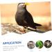 BESPORTBLE 80 Pcs Pigeon Foot Ring Metal Brackets Kickstand Chicken Wite Parrot Pigeon Gear Aluminum Poultry 0.8X0.8X0.8CMx4pcs As Shownx4pcs - Buy Online on SooperMarket.com