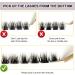 3D Fake Lashes Set - Individual False Eyelashes with Eyelash Glue and Tweezers for Beginners Reusable - Buy Online on SooperMarket.com