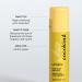 Cocokind Turmeric Mask Stick - Organic Spot Treatment for Dark Spots & Acne with Turmeric Tea Tree Oil & Ginger Root - Buy Online on SooperMarket.com