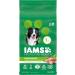 IAMS Proactive Health Minichunks Dog Food Dry Adult Chicken & Whole Grains Recipe 3.18kg (7LB) Bag & Proactive Health Healthy Adult Dry Cat Food with Chicken 1.59kg Bag 3.18 kg (Pack of 1) Mini Chunks + Cat Food 1.59kg Bag - Buy Online on SooperMarket.com