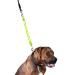 Furhaven Pet - Hands-Free Bungee Dog Leash, LED Collar and Leash Extender, Vehicle Safety Seat Belt Clip, Vest Harness, and More for Active Dogs and Cats - Multiple Colors, Styles, and Sizes One Size LED Leash Extender LED Green