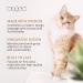 Ruby Road Wall Mounted Cat Scratching Post - Wooden Sisal Scratcher for Indoor Cats - Modern Cat Wall Furniture (22 x 5.7 inches) - Buy Online on SooperMarket.com
