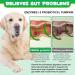 Oimmal Probiotics for Dogs Gut Health - 30pc Digestive Treats for Dog Support Seasonal Allergies Itchy Ears Dog Probiotic Supplement Soft Chews Improve Pet Immune System Dogs - Duck Flavour - Buy Online on SooperMarket.com