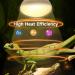Caldarax 2 Pack Reptile Heat Lamp Bulb 50W E27 Daylight Basking Spot Bulb UV Heat Bulb for Reptiles Tortoise Bearded Dragon Snakes Lizards Chicks 50.0 - Buy Online on SooperMarket.com